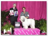 Princeton Best Veteran BOS Eukanuba 2014